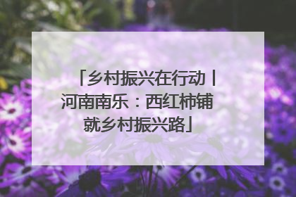 乡村振兴在行动丨河南南乐：西红柿铺就乡村振兴路