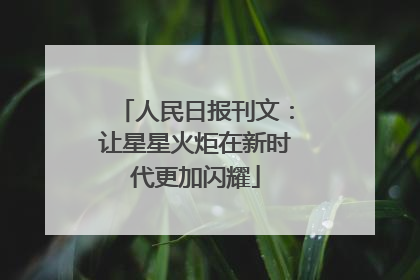 人民日报刊文：让星星火炬在新时代更加闪耀