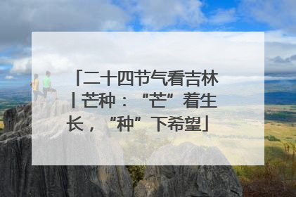 二十四节气看吉林丨芒种：“芒”着生长，“种”下希望