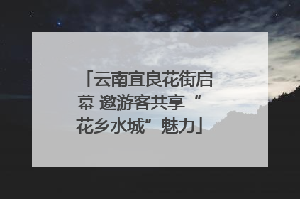 云南宜良花街启幕 邀游客共享“花乡水城”魅力