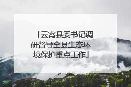 云霄县委书记调研督导全县生态环境保护重点工作