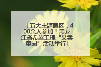 五大主题展区，400余人参加！黑龙江省希望工程“义卖童园”活动举行