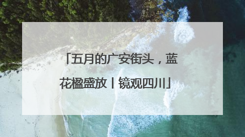 五月的广安街头，蓝花楹盛放丨镜观四川