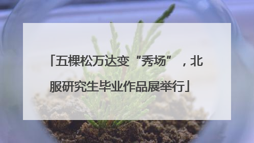 五棵松万达变“秀场”，北服研究生毕业作品展举行