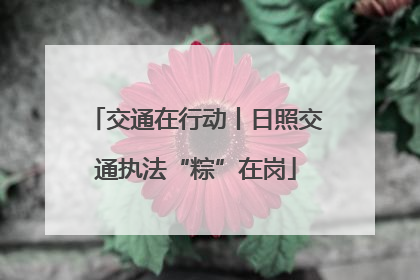 交通在行动丨日照交通执法“粽”在岗