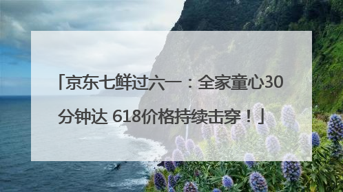 京东七鲜过六一：全家童心30分钟达 618价格持续击穿！