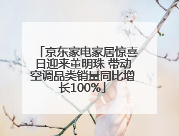 京东家电家居惊喜日迎来董明珠 带动空调品类销量同比增长100%