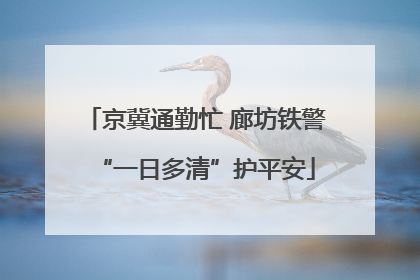 京冀通勤忙 廊坊铁警“一日多清”护平安
