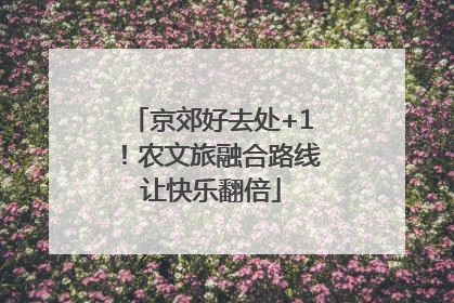 京郊好去处+1！农文旅融合路线让快乐翻倍