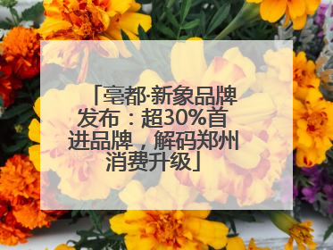 亳都·新象品牌发布：超30%首进品牌，解码郑州消费升级