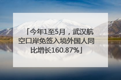今年1至5月，武汉航空口岸免签入境外国人同比增长160.87%