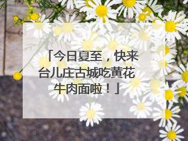 今日夏至，快来台儿庄古城吃黄花牛肉面啦！