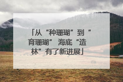 从“种珊瑚”到“育珊瑚” 海底“造林”有了新进展