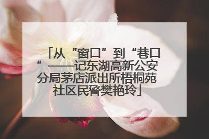 从“窗口”到“巷口”——记东湖高新公安分局茅店派出所梧桐苑社区民警樊艳玲