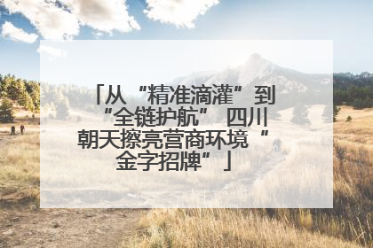 从“精准滴灌”到“全链护航” 四川朝天擦亮营商环境“金字招牌”