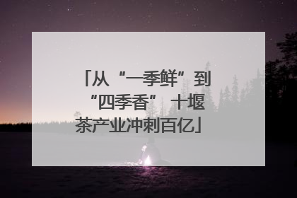 从“一季鲜”到“四季香” 十堰茶产业冲刺百亿