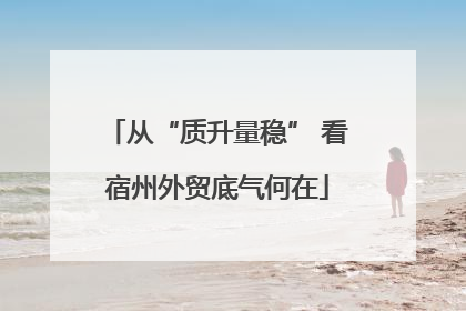 从“质升量稳” 看宿州外贸底气何在