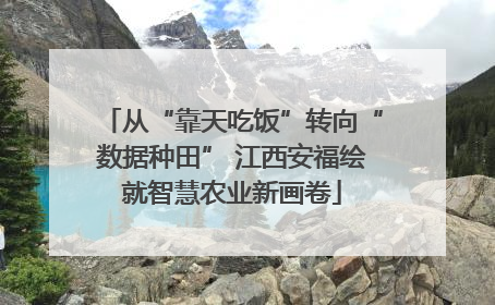 从“靠天吃饭”转向“数据种田” 江西安福绘就智慧农业新画卷