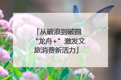 从破浪到破圈 “龙舟+”激发文旅消费新活力