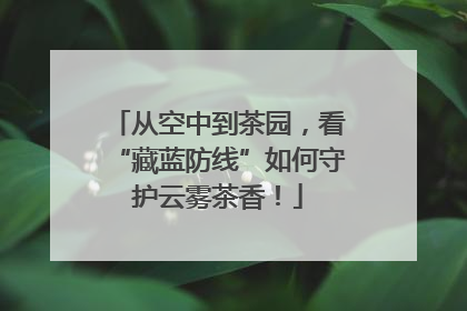 从空中到茶园，看“藏蓝防线”如何守护云雾茶香！