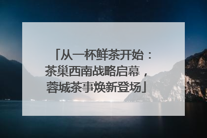 从一杯鲜茶开始：茶巢西南战略启幕，蓉城茶事焕新登场