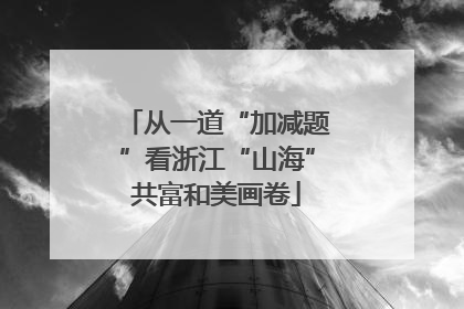 从一道“加减题”看浙江“山海”共富和美画卷