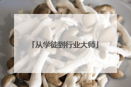 从学徒到行业大师