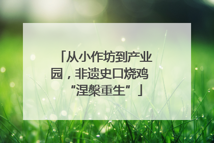从小作坊到产业园，非遗史口烧鸡“涅槃重生”