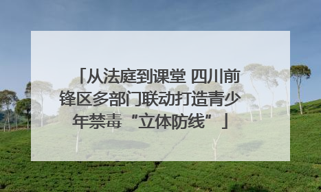 从法庭到课堂 四川前锋区多部门联动打造青少年禁毒“立体防线”