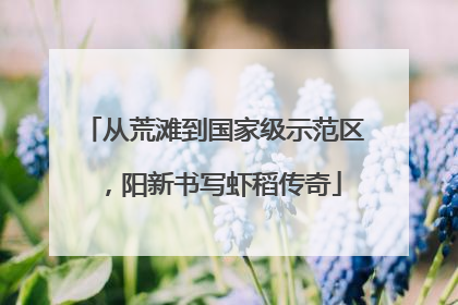 从荒滩到国家级示范区，阳新书写虾稻传奇