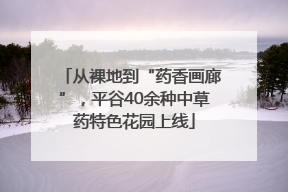 从裸地到“药香画廊”，平谷40余种中草药特色花园上线