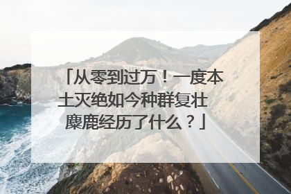 从零到过万！一度本土灭绝如今种群复壮 麋鹿经历了什么？