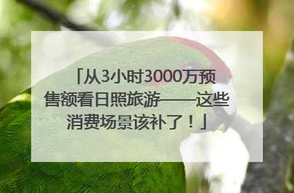 从3小时3000万预售额看日照旅游——这些消费场景该补了！