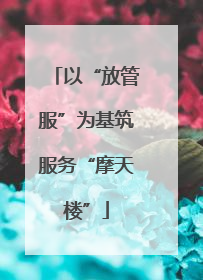 以“放管服”为基筑服务“摩天楼”