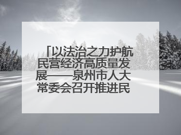 以法治之力护航民营经济高质量发展——泉州市人大常委会召开推进民营经济促进法贯彻实施座谈会