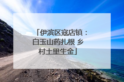 伊滨区寇店镇：白玉山药扎根 乡村土里生金