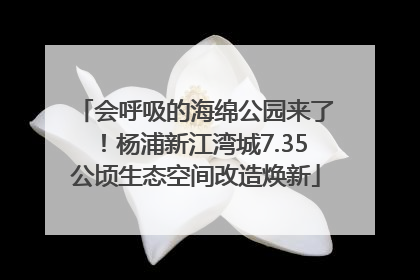 会呼吸的海绵公园来了！杨浦新江湾城7.35公顷生态空间改造焕新