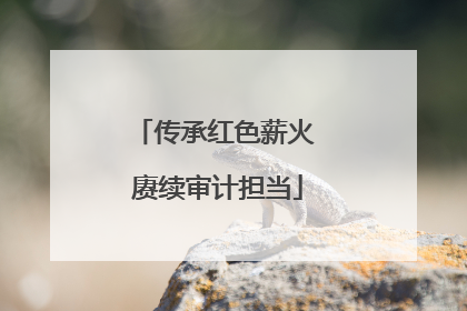 传承红色薪火 赓续审计担当
