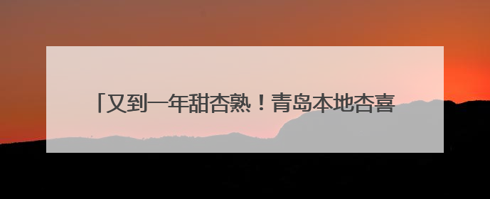 又到一年甜杏熟！青岛本地杏喜迎丰收，6月中旬开启尝鲜季