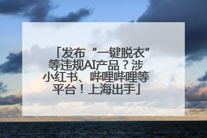 发布“一键脱衣”等违规AI产品？涉小红书、哔哩哔哩等平台！上海出手