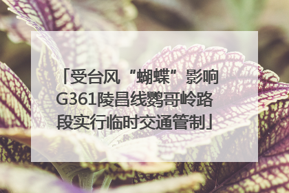受台风“蝴蝶”影响 G361陵昌线鹦哥岭路段实行临时交通管制