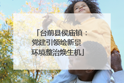 台前县侯庙镇：党建引领绘新景 环境整治焕生机