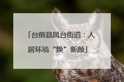 台前县凤台街道：人居环境“焕”新颜