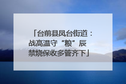台前县凤台街道：战高温守“粮”辰 禁烧保收多管齐下
