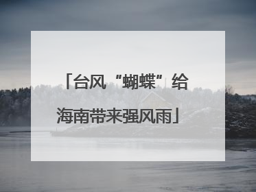 台风“蝴蝶”给海南带来强风雨