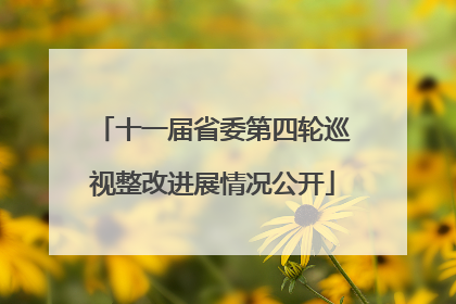 十一届省委第四轮巡视整改进展情况公开