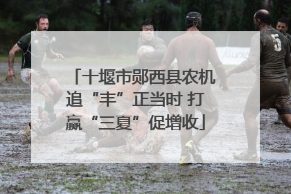十堰市郧西县农机追“丰”正当时 打赢“三夏”促增收