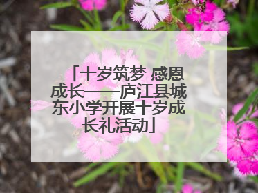 十岁筑梦 感恩成长——庐江县城东小学开展十岁成长礼活动