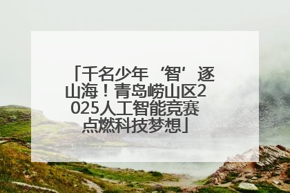 千名少年‘智’逐山海！青岛崂山区2025人工智能竞赛点燃科技梦想