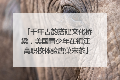 千年古韵搭建文化桥梁，美国青少年在镇江高职校体验唐菓宋茶